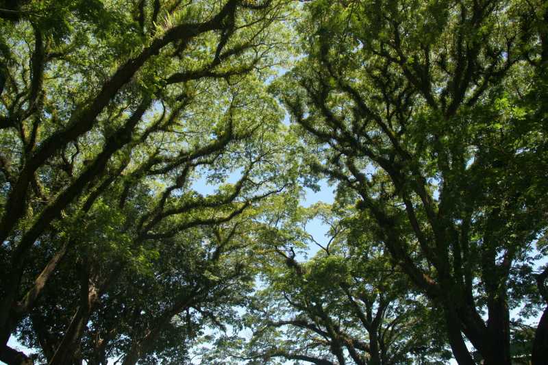 成長の手がかりを掴む